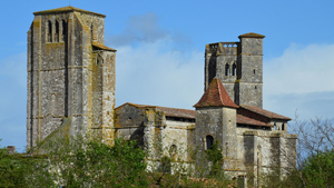 Traitement punaises de lit Saint-Pierre
